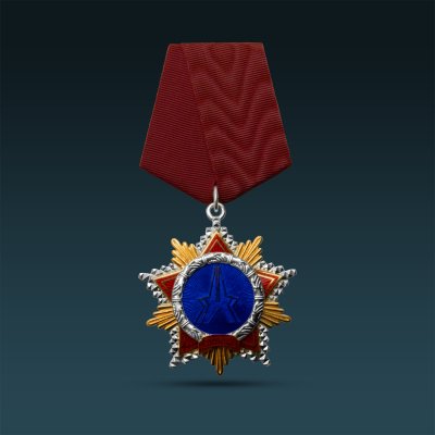 A1040-13012 , Орден Дружбы народов Брянской области